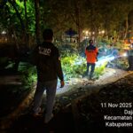 Pohon Tumbang di Lapangan Dangin Carik