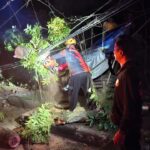 BPBD Tabanan Evakuasi Pohon Tumbang yang Menimpa Dua Mobil di Jalur Utama Abiantuwung